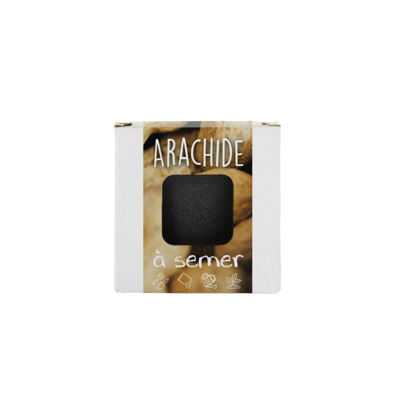Kit pot ardoise graines d'arachide