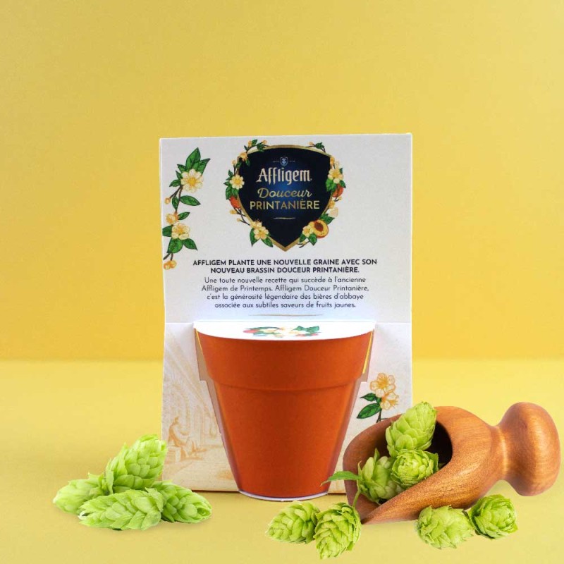 Carte pot bambou