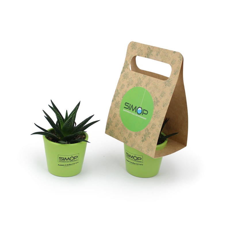 Plante dépolluante portative