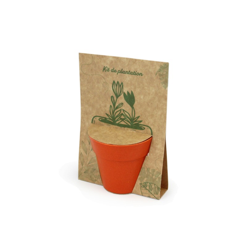 Carte pot bambou