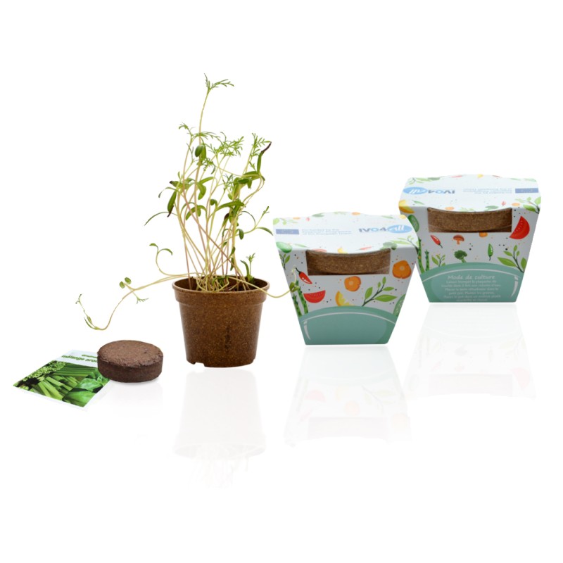 Kit jardin Ecolo