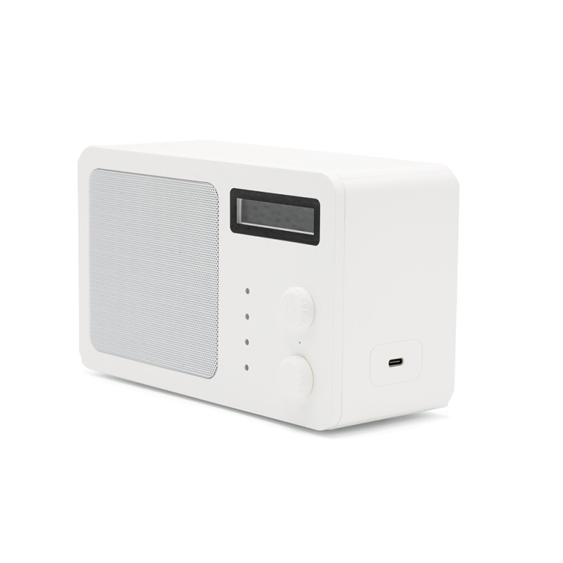 Soundview Speaker