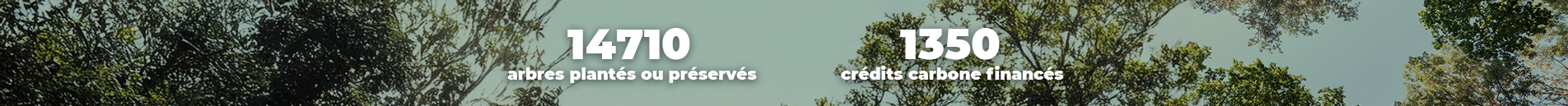 14710 arbres plantés ou préservés